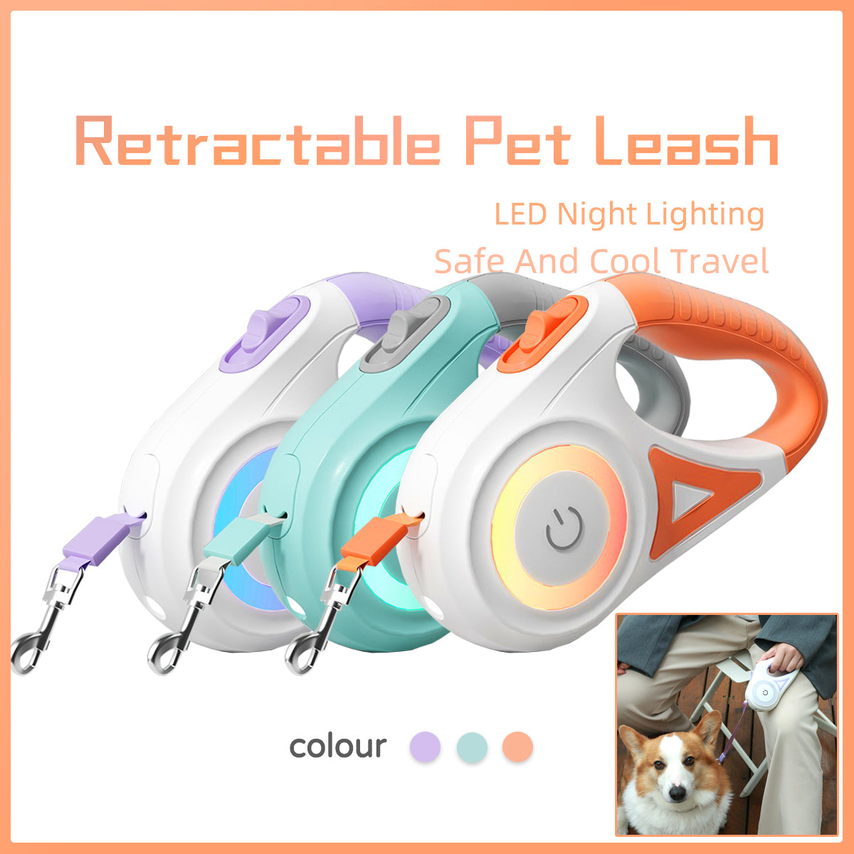 Retractable Dog Leash with Collar - Automatic Traction Rope for Small to Medium Dogs and Cats