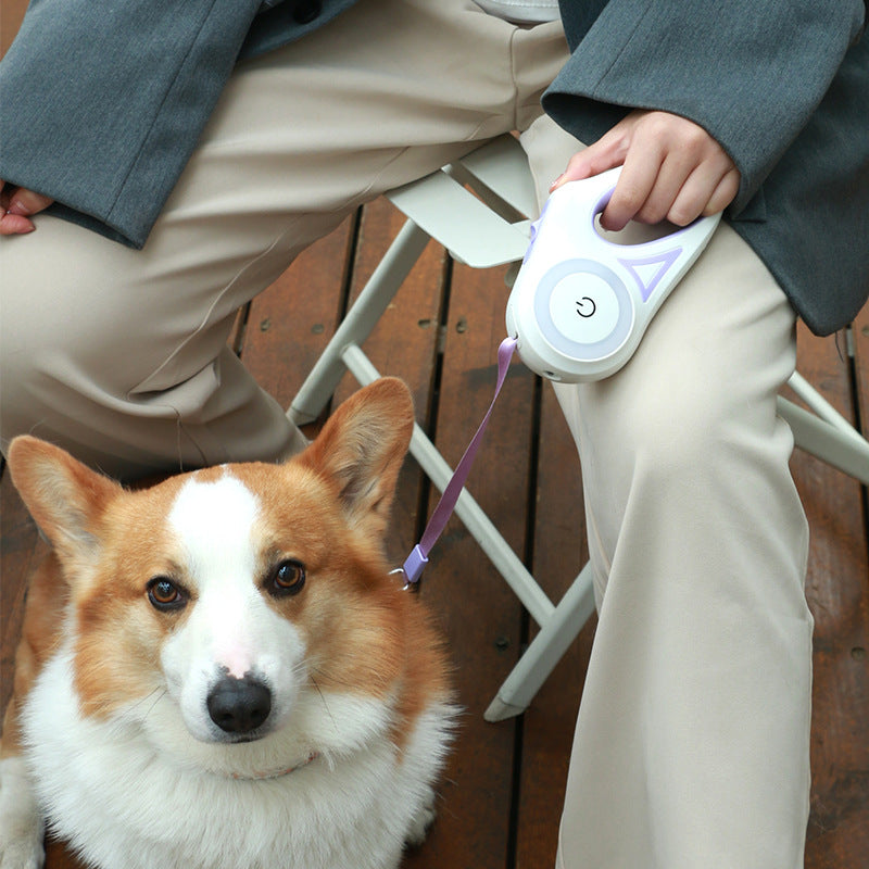Retractable Dog Leash with Collar - Automatic Traction Rope for Small to Medium Dogs and Cats